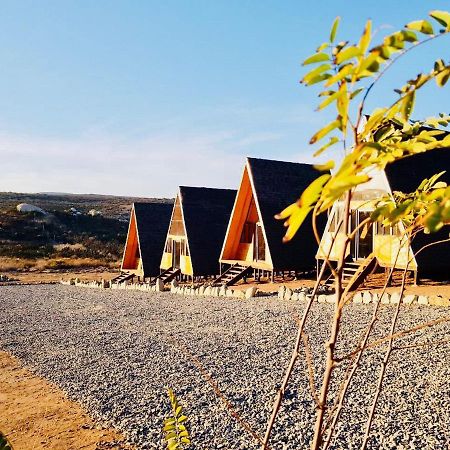 Ixchel Glamping Valle De Guadalupe Ensenada Kamer foto